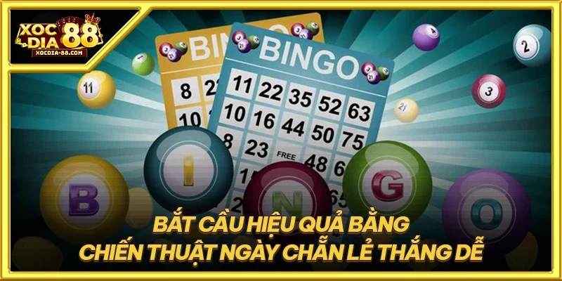 Bắt cầu hiệu quả bằng chiến thuật ngày chẵn lẻ thắng dễ