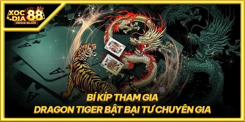 Bí kíp tham gia dragon tiger bật bại tư chuyên gia