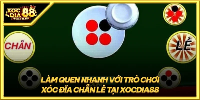 Làm quen nhanh với trò chơi xóc đĩa chẵn lẻ tại XOCDIA88