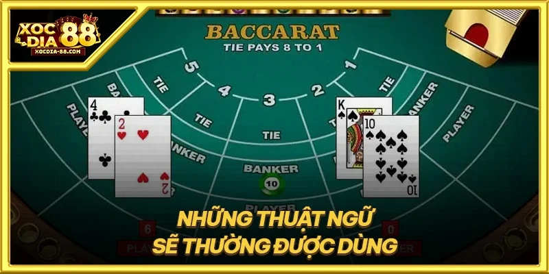 Những thuật ngữ sẽ thường được dùng