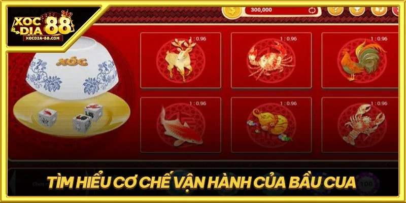 Tìm hiểu cơ chế vận hành của Bầu Cua